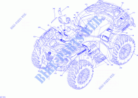 Decals STD for Can-Am OUTLANDER 850 2019
