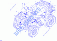 Decals XT for Can-Am OUTLANDER 850 2019