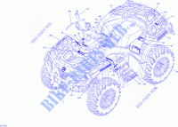 Decals XTP for Can-Am OUTLANDER 850 2019