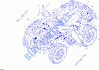 Decals North Edition for Can-Am OUTLANDER 650 2019
