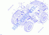 Decals STD for Can-Am OUTLANDER 650 2019