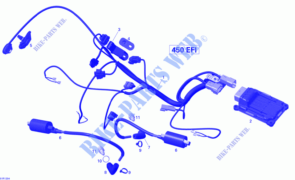 Engine Harness And Electronic Module for Can-Am DS 450 2015