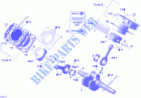 Crankshaft, Piston And Cylinder for Can-Am OUTLANDER XT 800 2007