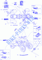 Decals for Can-Am DS 650 2005