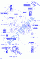 Decals for Can-Am TRAXTER MAX 650 CVT 2005