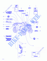 Decals for Can-Am TRAXTER AUTOSHIFT XT 2003