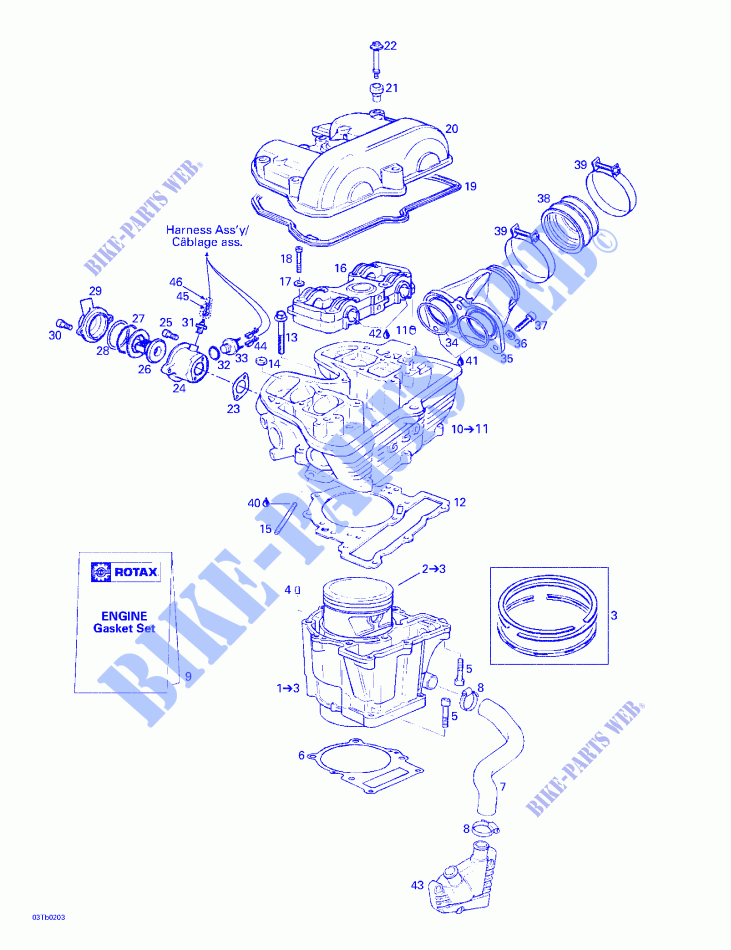 Cylinder, Cylinder Head for Can-Am DS 650 2002